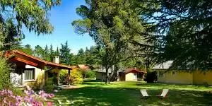 Del-Arroyo-1-300×1501-1