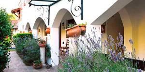 San-Bras-300×1501-1