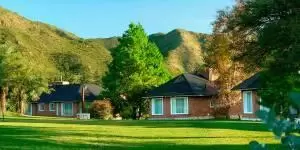 Sola-Encantado-300×1501-1