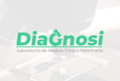 Diagnosi Laboratorio Veterinario