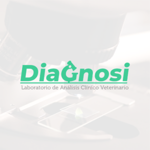 Transparencia-blanco