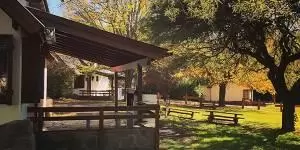 Am-Bach-1-300×1501-1