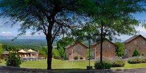 Camelias-Blancas-300×1501-1