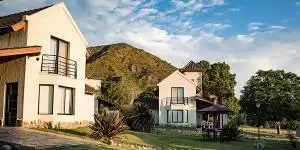 Dryadales-1-300×1501-1