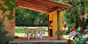 Grenouille-300×1501-1